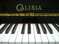 Пианино Галиция